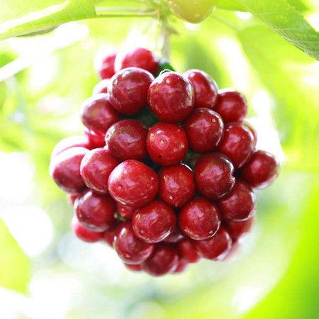 爆料提子视频大全最新网站,海量资源一网打尽